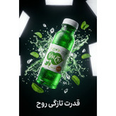 نوشیدنی عرقیجات بطری 300 سی سی روح افزا با طعم نعنا کارتن 24 عددی